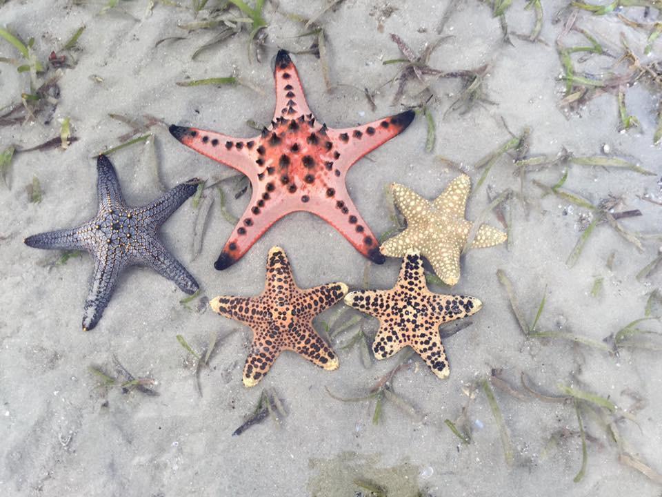 Activities Resort เกาะยาวใหญ่ ภายนอก รูปภาพ